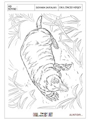 Köstebek boyama sayfaları